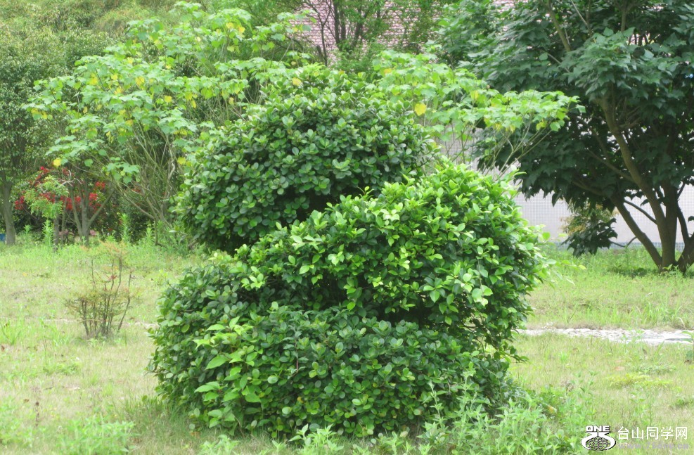 129.jpg