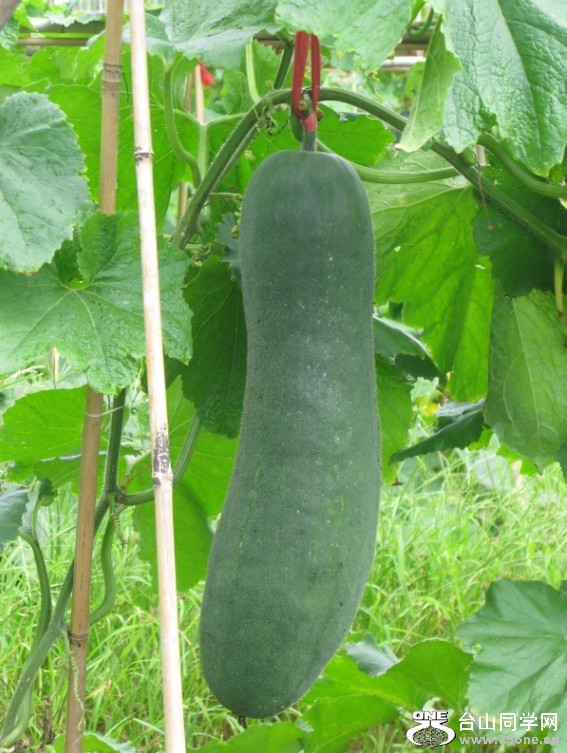 107.jpg