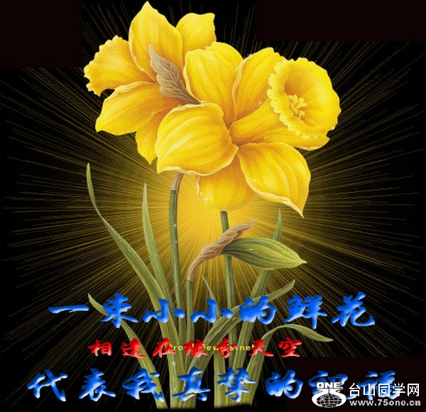 2526050_40.jpg