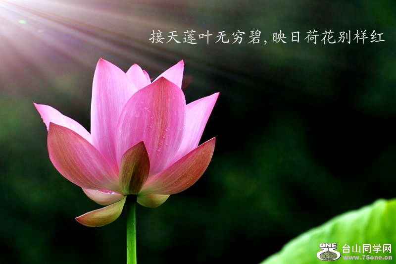 81_4383_88459878f4d9db9_副本.jpg
