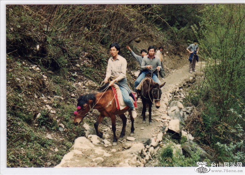 file1203.jpg