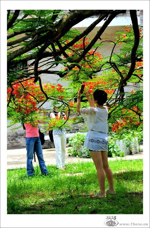 nEO_IMG_DSC_1252_conew1.jpg