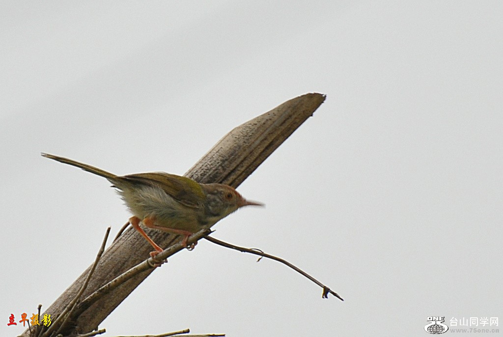 DSC_0104.JPG
