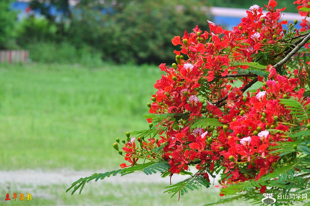 DSC_0051.JPG