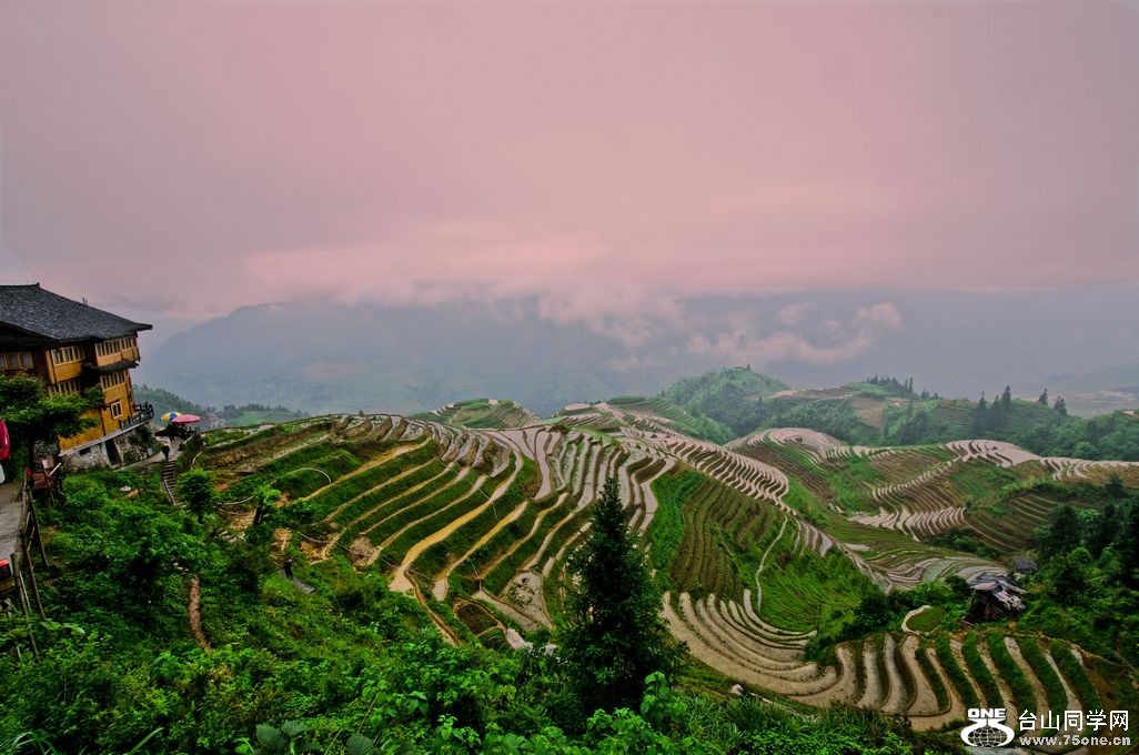 DSC_1993.jpg