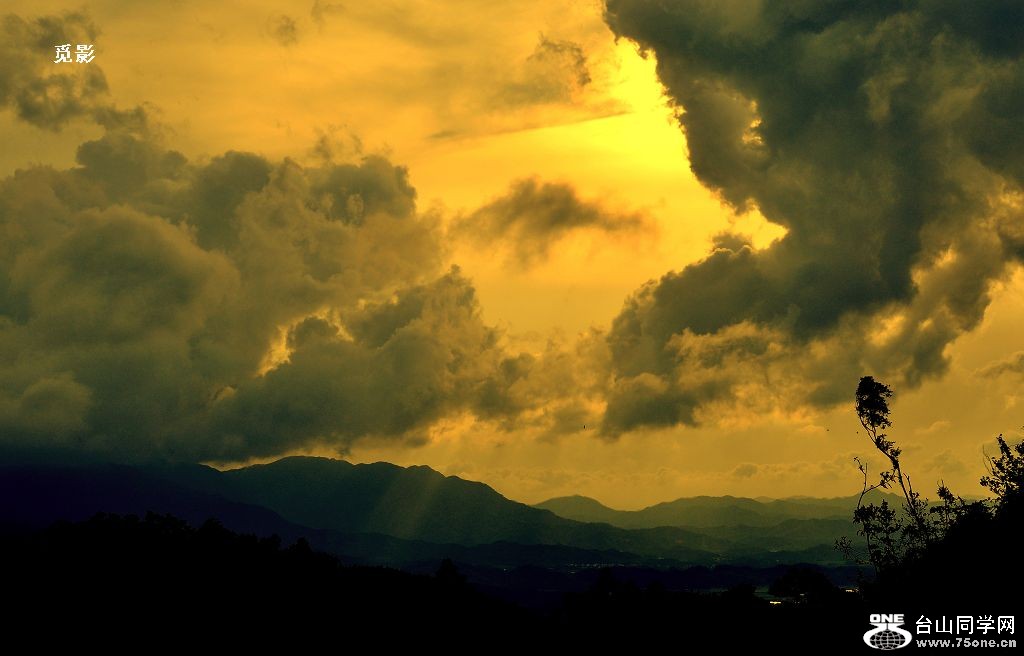 DSC_8372a.jpg