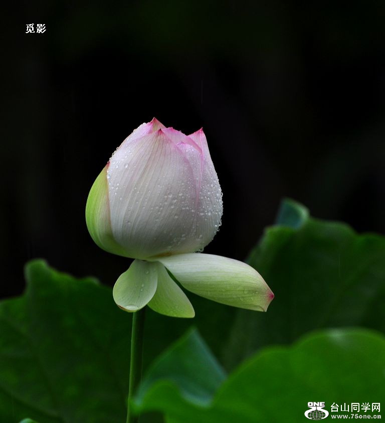 DSC_9968a.jpg
