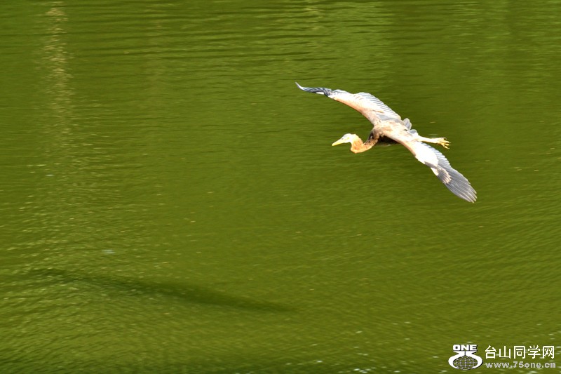 DSC_6576.JPG
