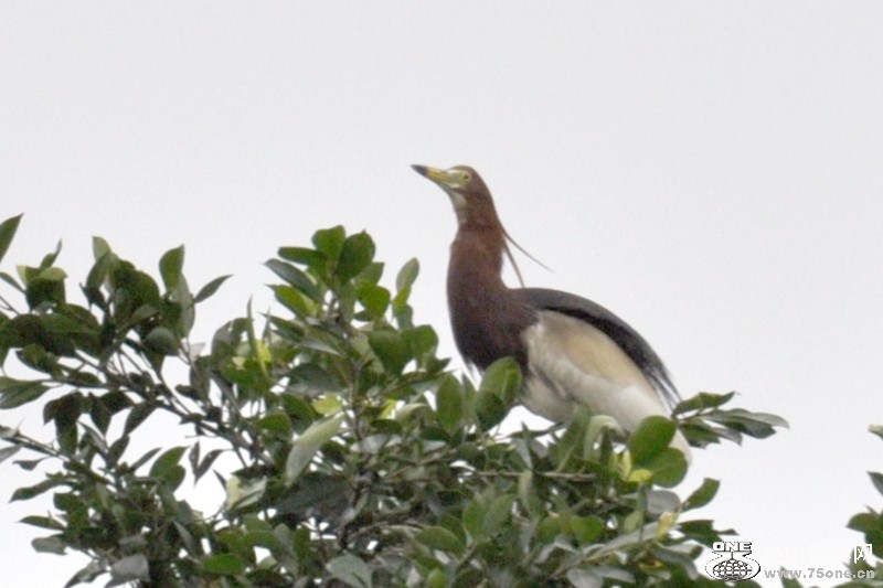 DSC_7679.JPG