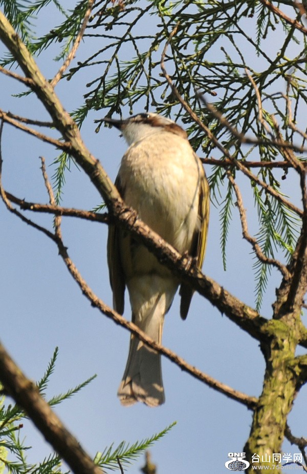 DSC_1344.JPG