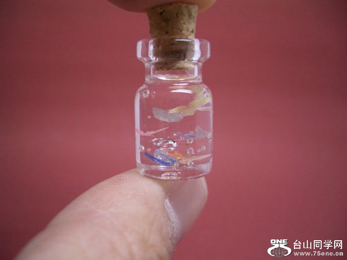 tiny_world_in_a_bottle_23.jpg