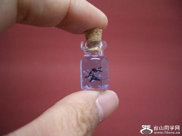 tiny_world_in_a_bottle_22.jpg