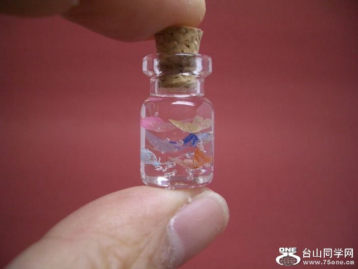 tiny_world_in_a_bottle_24.jpg