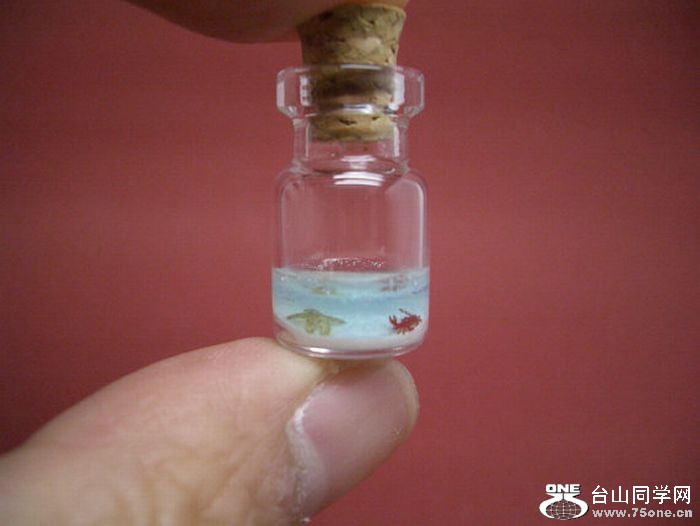 tiny_world_in_a_bottle_25.jpg