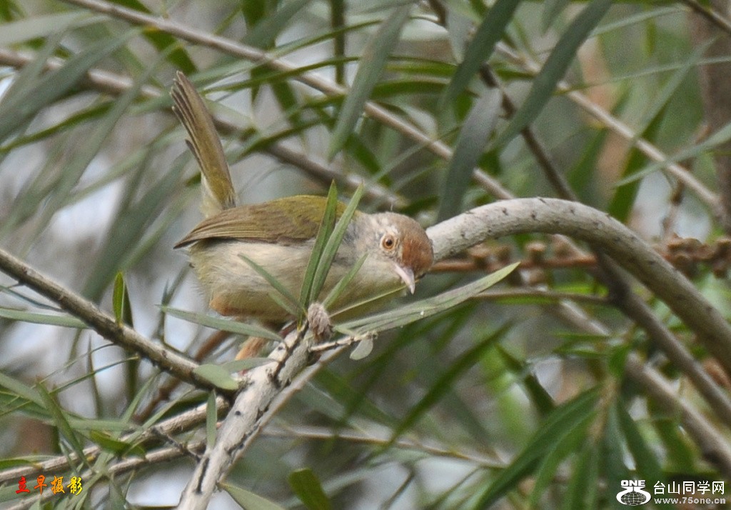 DSC_0016.JPG