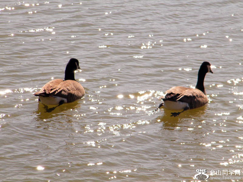 DSCF4018.JPG