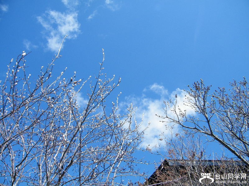 DSCF4062.JPG