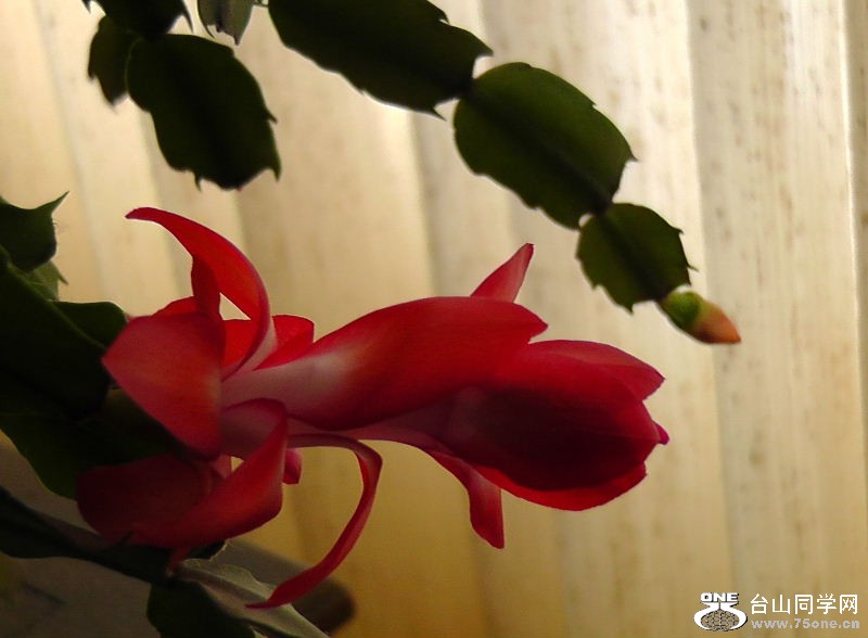 2012_040510009.JPG