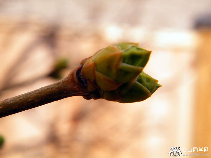 DSCF4049.JPG