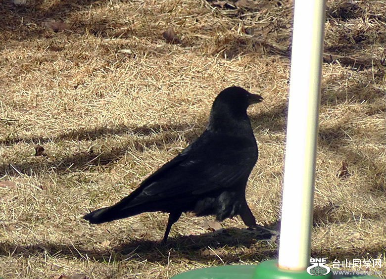 2012_040210088.JPG