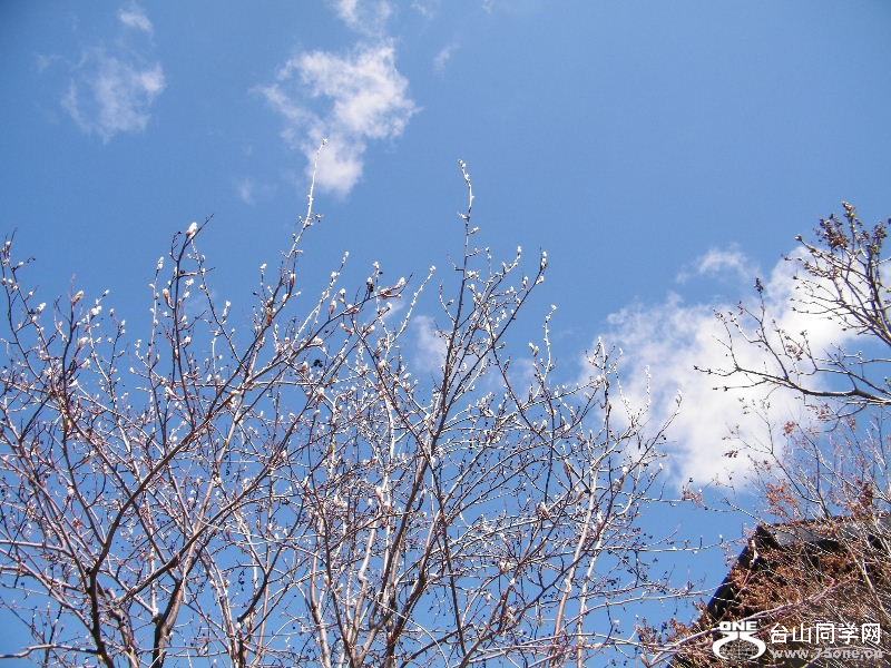 DSCF4061.JPG