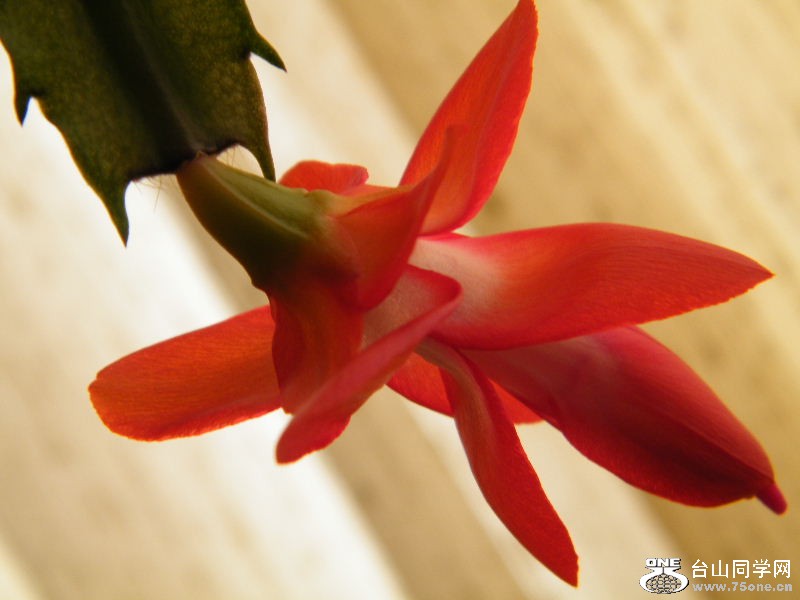 DSCF3821.JPG