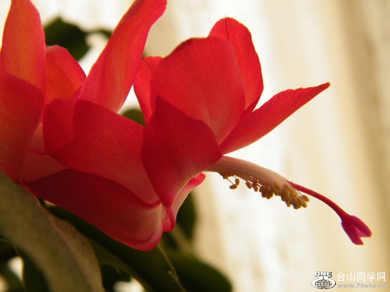 DSCF3838.JPG