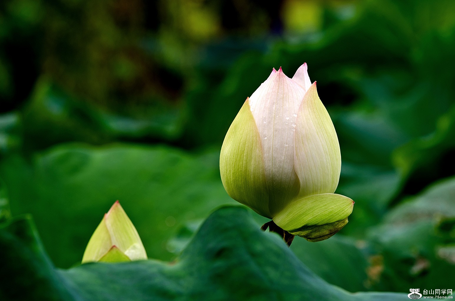 DSC_3054.jpg