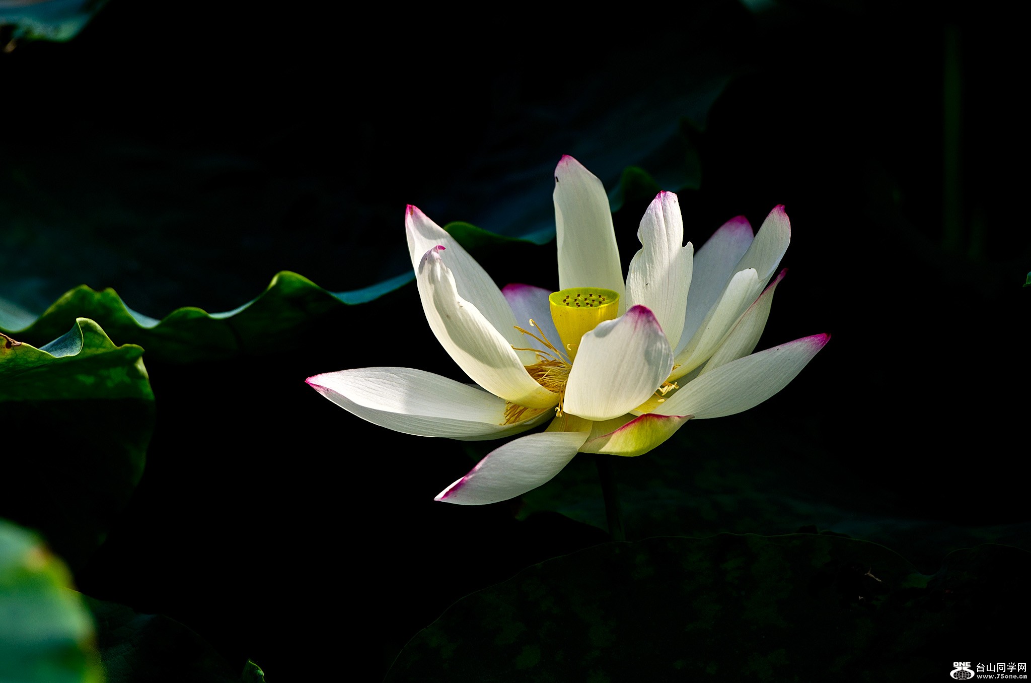 DSC_2806.jpg