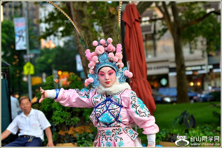 DSC_6446.jpg