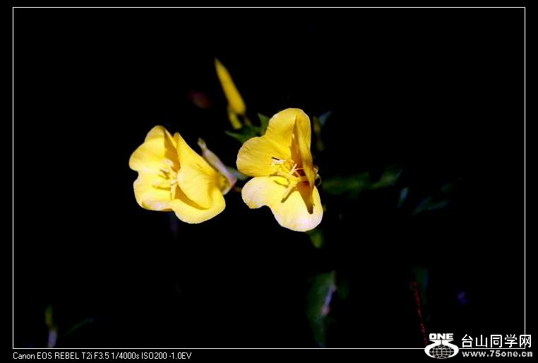 С IMG_7624.JPG
