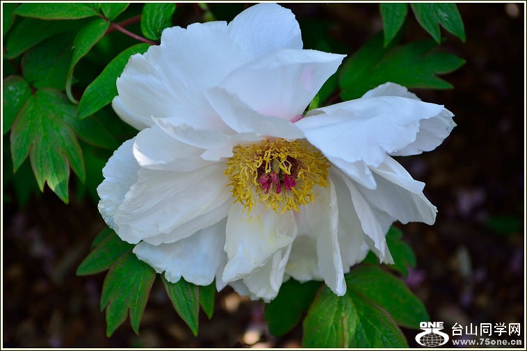 DSC_0759_1.jpg
