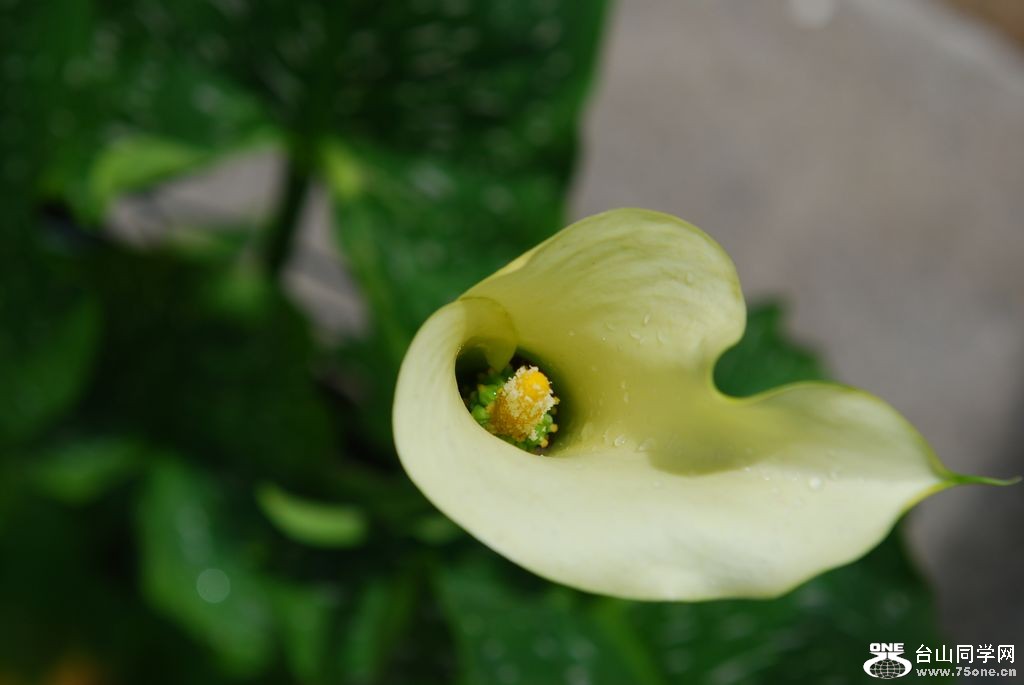 nEO_IMG_DSC_0813.jpg