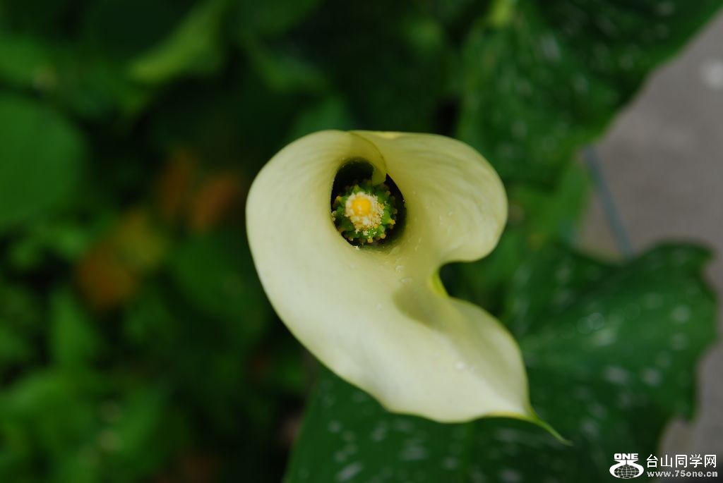 nEO_IMG_DSC_0814.jpg
