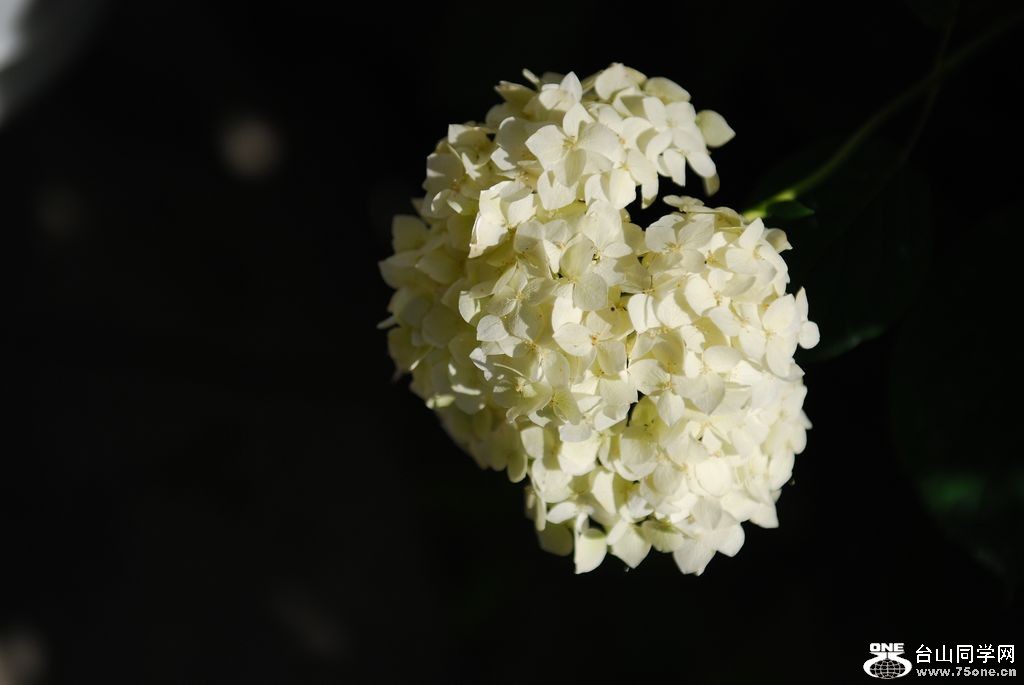 nEO_IMG_DSC_0734.jpg