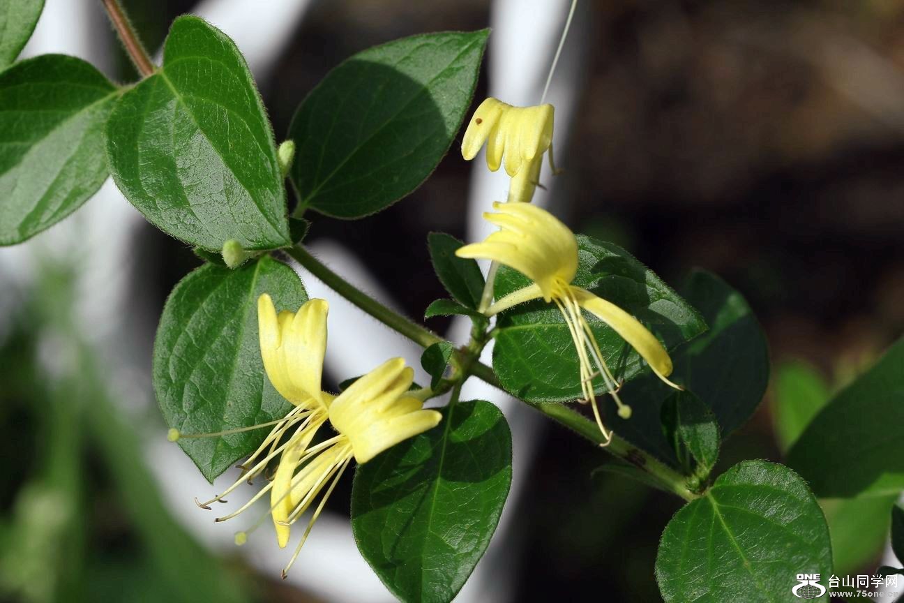 ������С IMG_6509.JPG