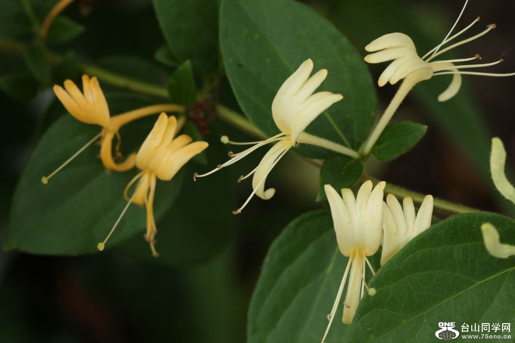 ������С IMG_6433.JPG