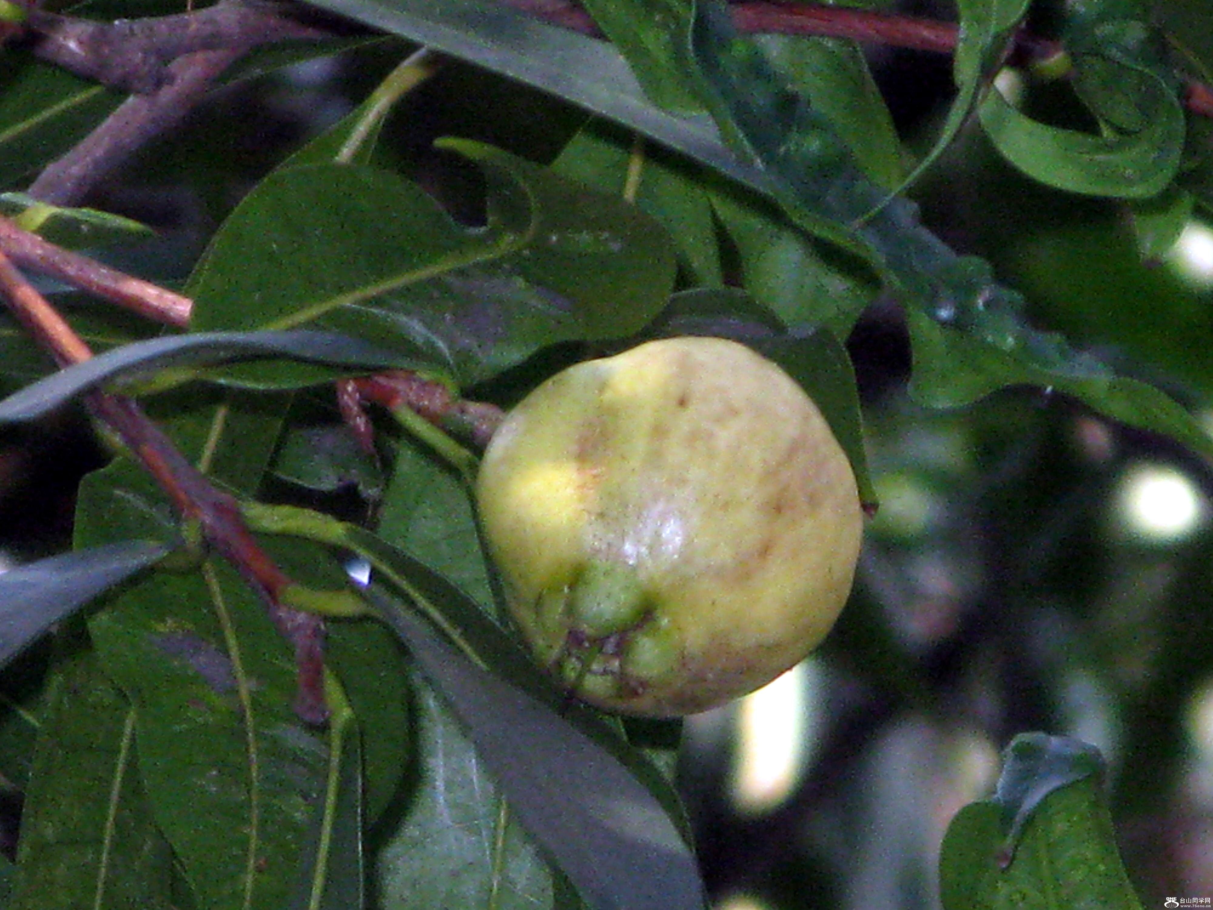 IMG_2355.jpg