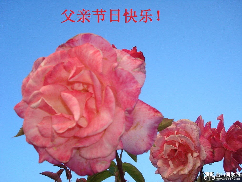 DSC01183-d1.jpg