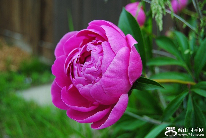 DSC_2666.JPG