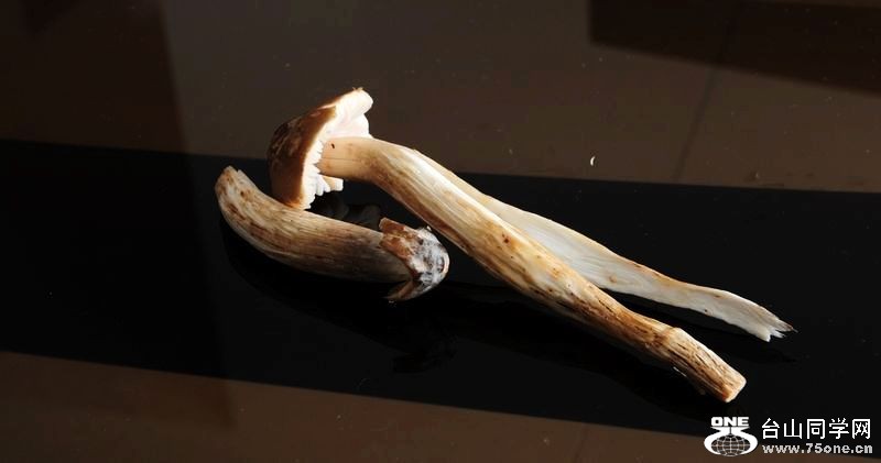DSC_4915.JPG
