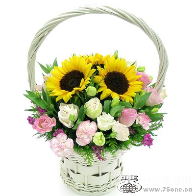 hl13-2f%282%29.jpg