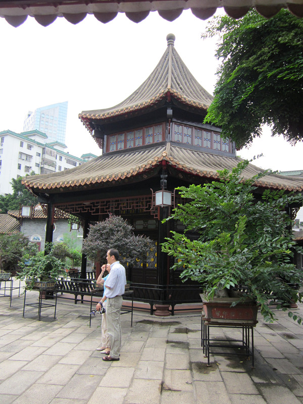 IMG_2781_.jpg