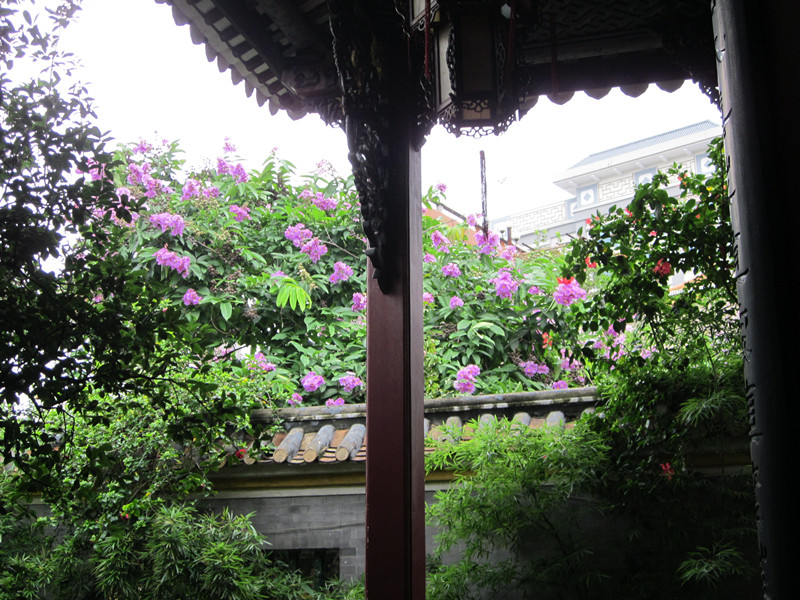 IMG_2755_.jpg
