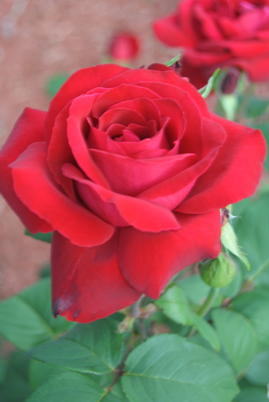 DSC_3476.JPG