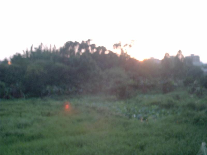 DSC_0701.JPG