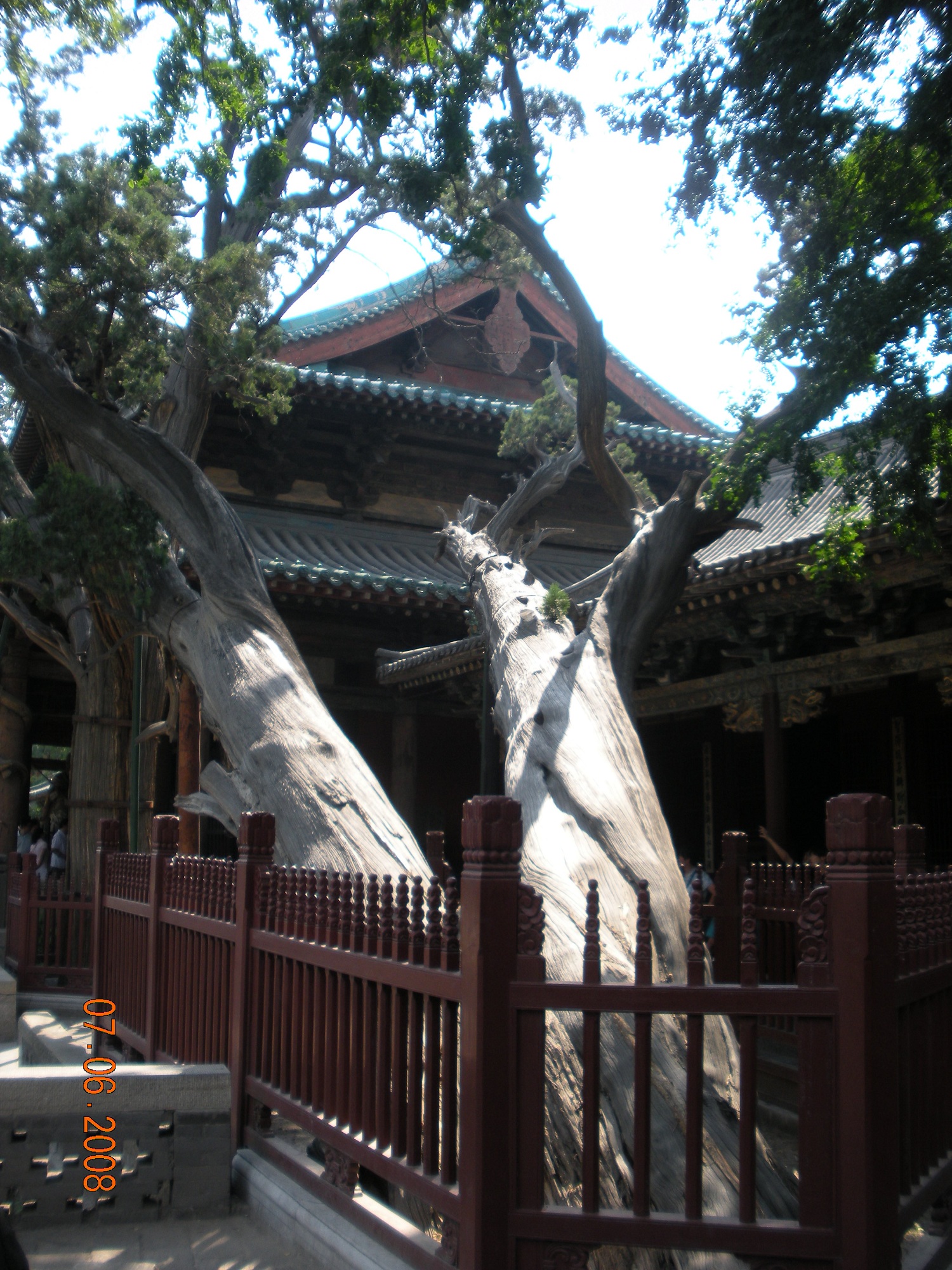 Chinatrip 644.jpg