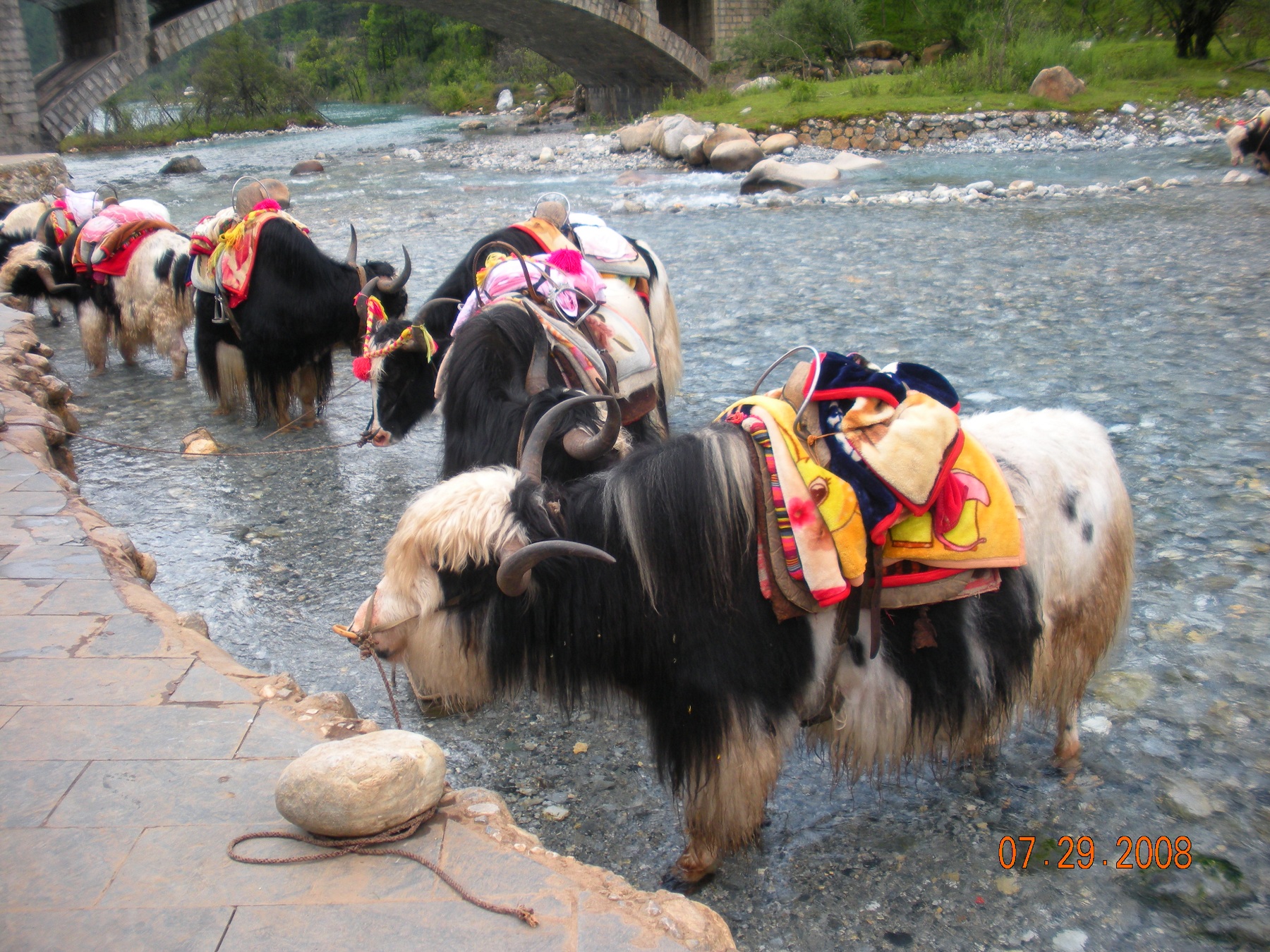 Chinatrip 169.jpg