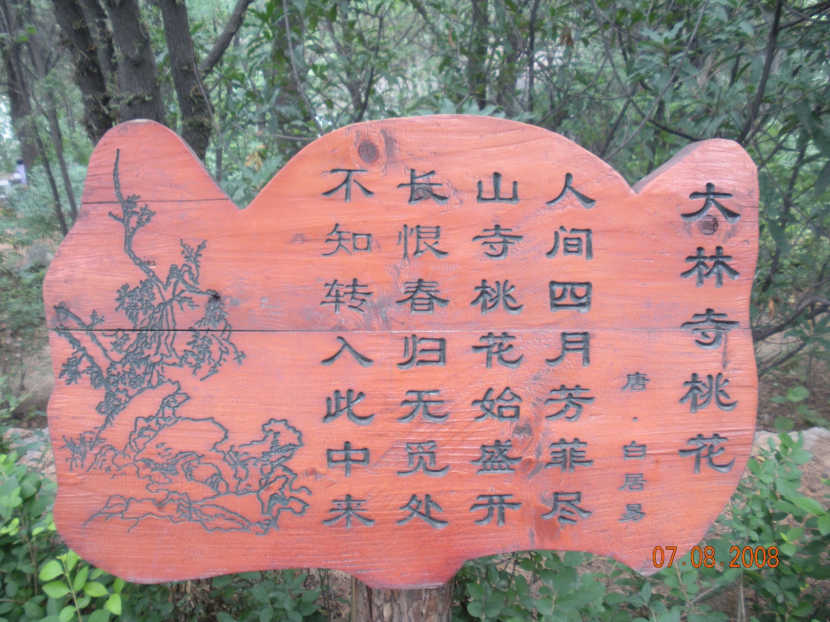 Chinatrip 767.jpg