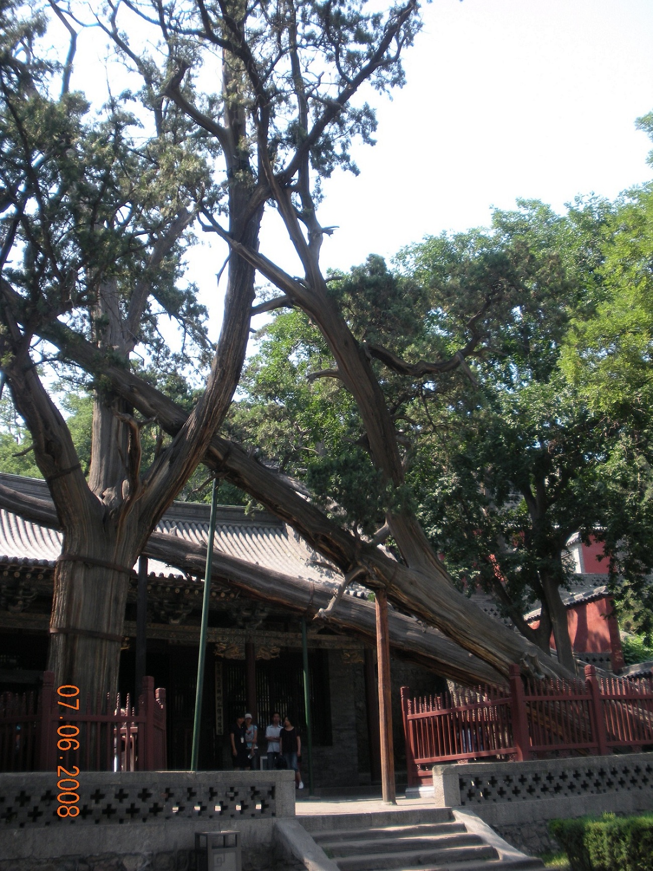 Chinatrip 642.jpg